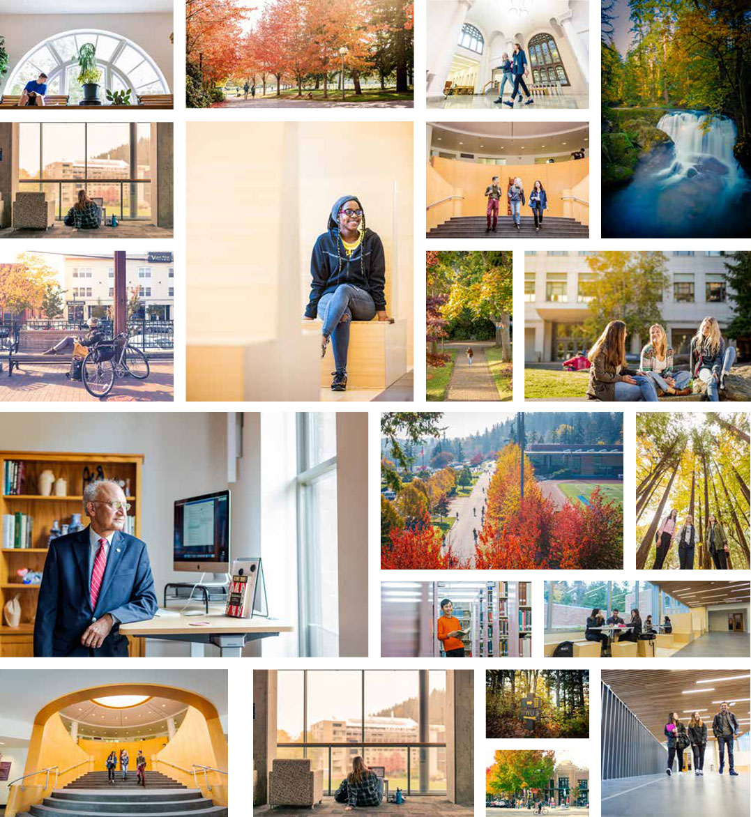samples of photography, all featuring lots of natural light, fall foliage, and diverse groups of students