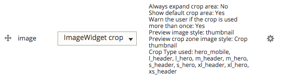 Widget is set to ImageWidget crop and the crop types have been selected (screenshot)
