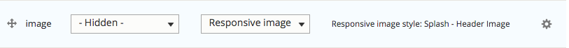Image has "Responsive image" set as format and "Header Image" selected as the setting (screenshot)