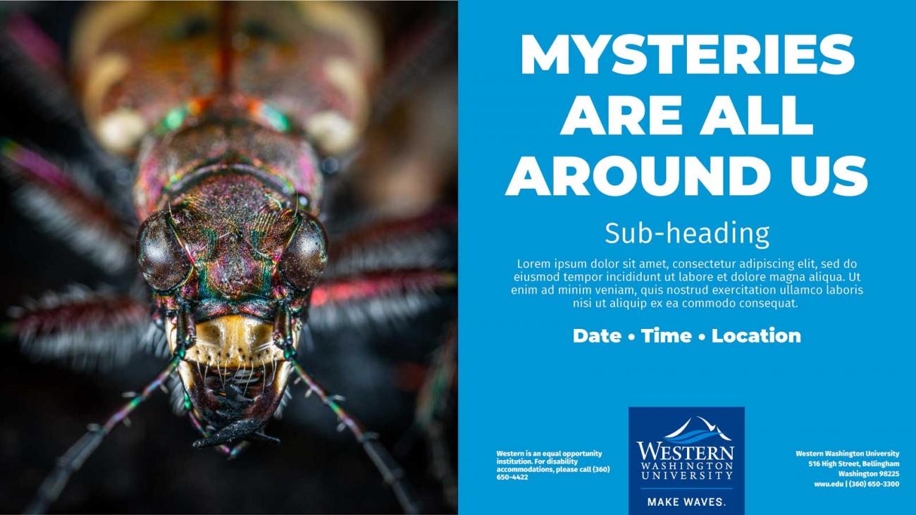 Example of a WWU branded digital sign featuring a bug and the headline "Mysteries Are All Around Us"