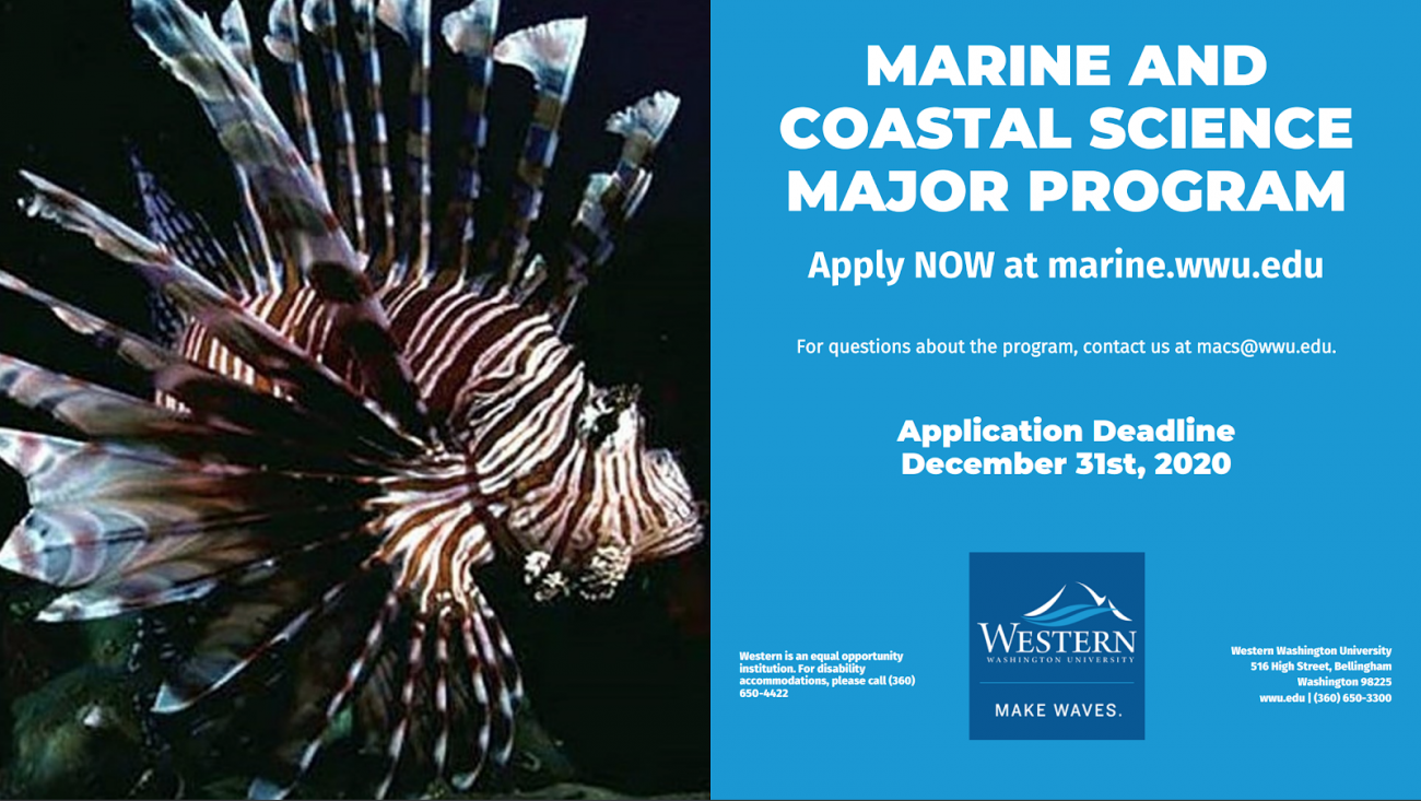 A striped and spiny lion fish next to text, "Marine and Coastal Science Major Program. Apply now at marine.wwu.edu"