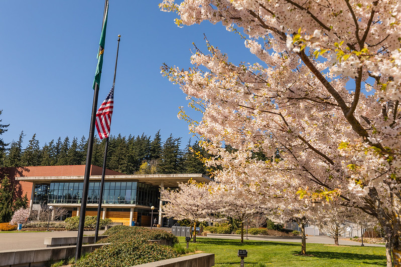 The Wade Carver rec center plaza obscured by a flag pole and a tree with white blossoms